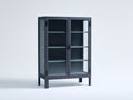 Estanterías de metal con 2 puertas de vidrio 100x40x160 cm - gris antracita - diseño alto con almacenamiento cerrado